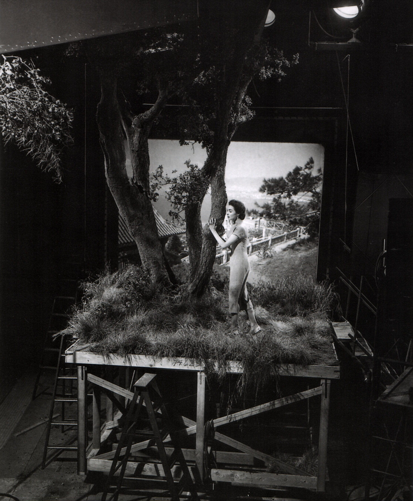 1,838 Coins Medieval Stock Photos - Free \u0026 Royalty-Free Stock Photos from  Dreamstime, image size:1731x2100